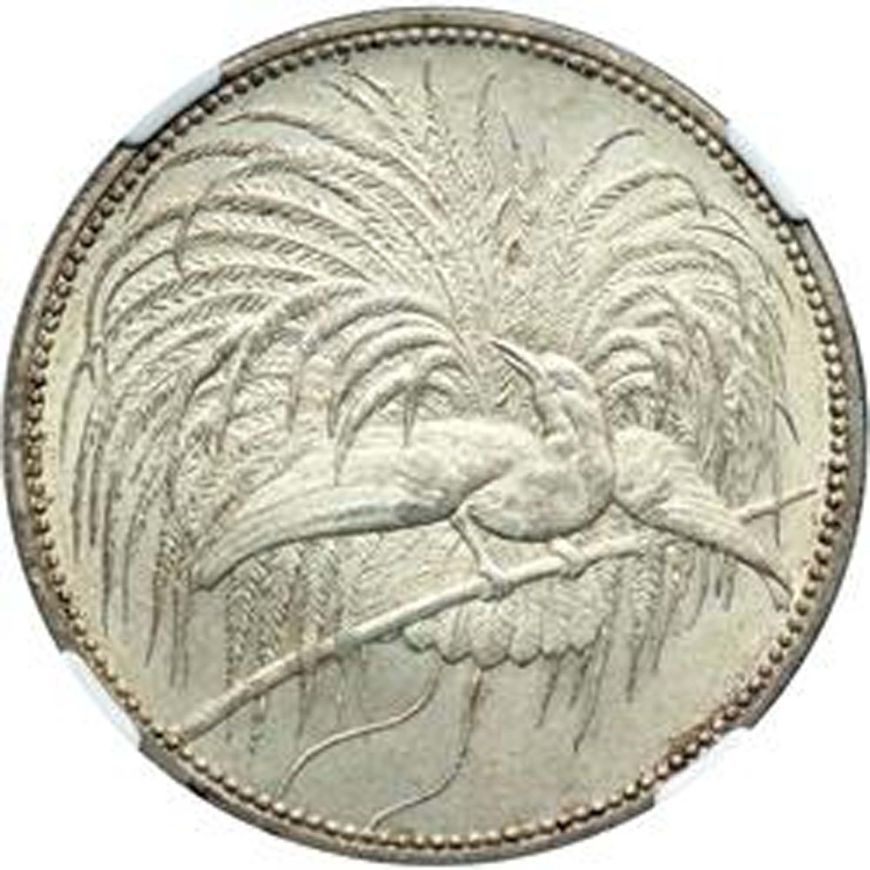 Most-Beautiful-Coin?